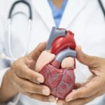 Tra i fattori di rischio maggiormente modificabili, l’alimentazione gioca un ruolo cruciale nella prevenzione e gestione di queste patologie.