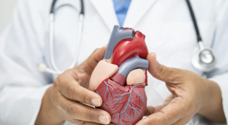 Tra i fattori di rischio maggiormente modificabili, l’alimentazione gioca un ruolo cruciale nella prevenzione e gestione di queste patologie.